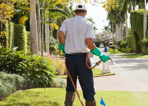 About Georgetown CT Pest Control